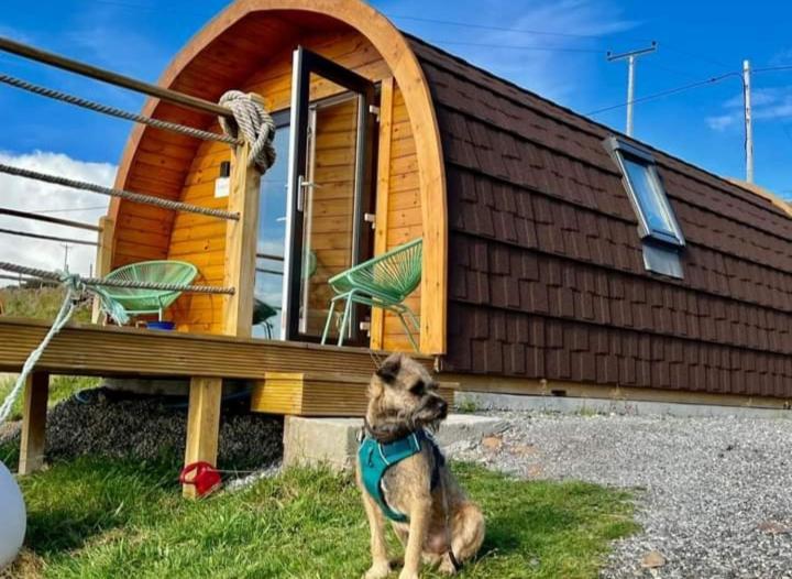The Sleepy Crofter Glamping - Achiltibuie Hotel Exterior photo